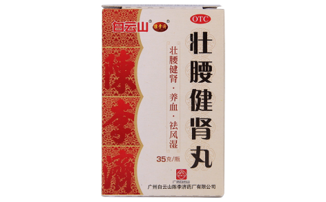 壮腰健肾丸(陳李済)主图