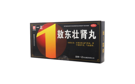 敖东壮肾丸(一正)主图