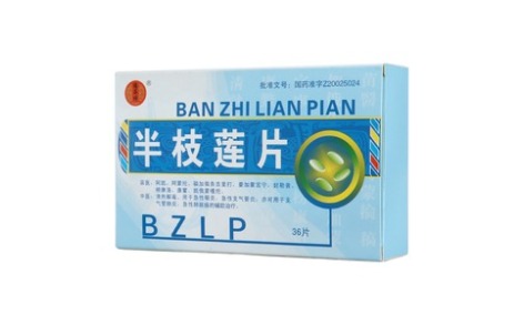 半枝莲片(德昌祥)主图 半枝莲片(德昌祥)主图