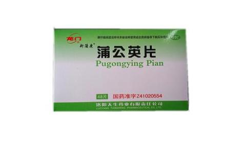 蒲公英片(龙门)主图 蒲公英片(龙门)主图