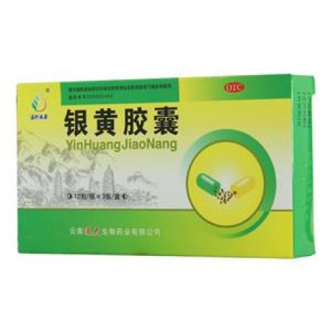 银黄胶囊(滇珍本草)包装主图