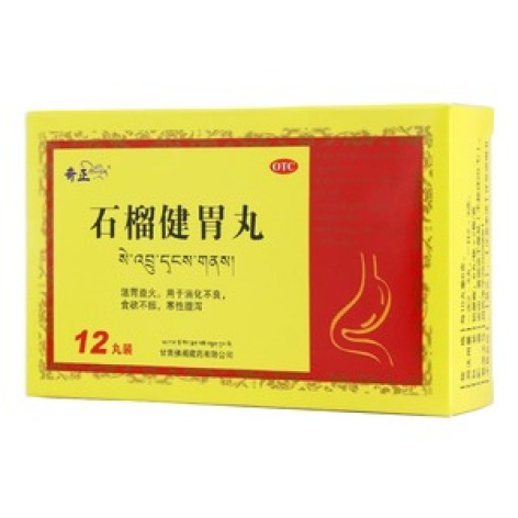石榴健胃丸(奇正)包装主图 石榴健胃丸(奇正)包装主图