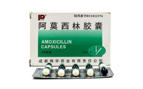 阿莫西林胶囊(锦华)主图