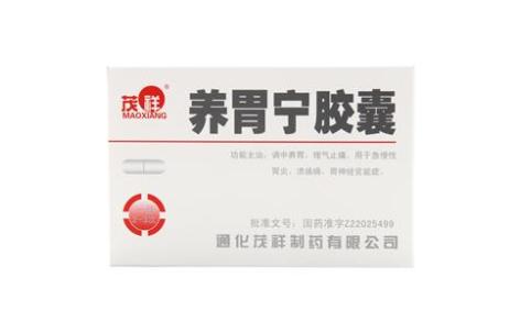 养胃宁胶囊(茂祥)主图