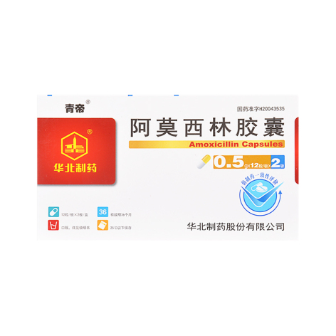 阿莫西林胶囊(青帝)包装主图 阿莫西林胶囊(青帝)包装主图