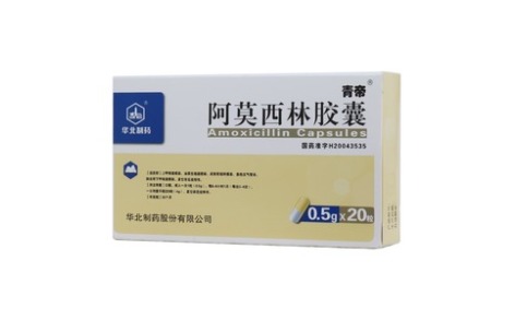 阿莫西林胶囊(青帝)主图 阿莫西林胶囊(青帝)主图