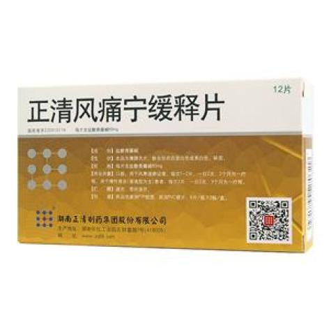 正清风痛宁缓释片(正清)包装主图 正清风痛宁缓释片(正清)包装主图