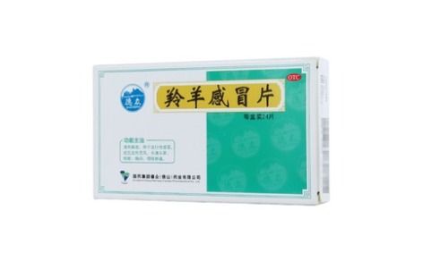 羚羊感冒片(德众)主图 羚羊感冒片(德众)主图