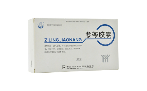 紫苓胶囊(葫芦博士)主图 紫苓胶囊(葫芦博士)主图