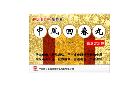 中风回春丸(白云山)主图 中风回春丸(白云山)主图