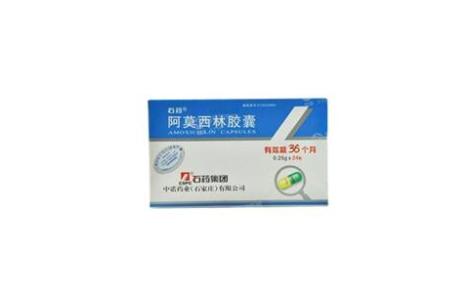 阿莫西林胶囊(石药)主图 阿莫西林胶囊(石药)主图