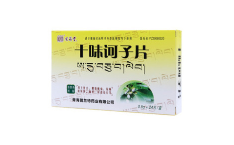 十味诃子片(同済堂)主图 十味诃子片(同済堂)主图