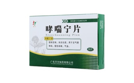 哮喘宁片(旺方)主图