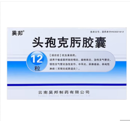 头孢克肟胶囊(昊邦)包装主图 头孢克肟胶囊(昊邦)包装主图