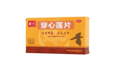 穿心莲片(特一)主图