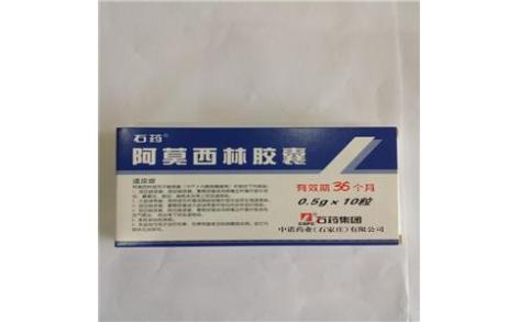 阿莫西林胶囊(石药)主图 阿莫西林胶囊(石药)主图