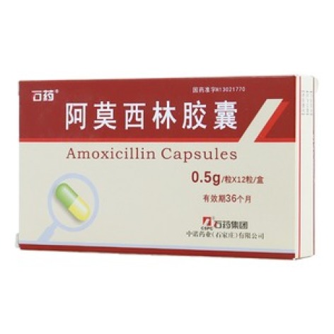 阿莫西林胶囊(石药)包装主图 阿莫西林胶囊(石药)包装主图