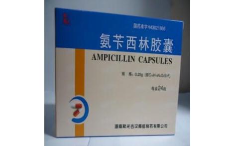 氨苄西林胶囊()主图 氨苄西林胶囊()主图
