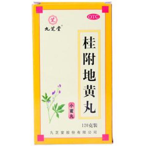 桂附地黄丸(九芝堂)包装主图 桂附地黄丸(九芝堂)包装主图