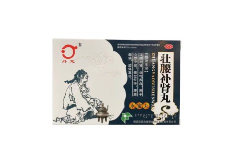壮腰补肾丸(丹龙)主图 壮腰补肾丸(丹龙)主图