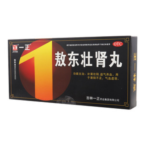 敖东壮肾丸(一正)包装主图