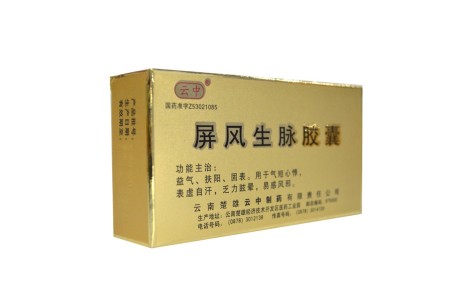屏风生脉胶囊(云中)主图 屏风生脉胶囊(云中)主图