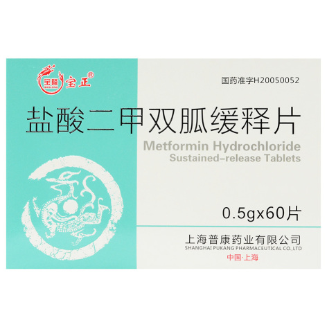 盐酸二甲双胍缓释片(宝隆宝正)包装主图
