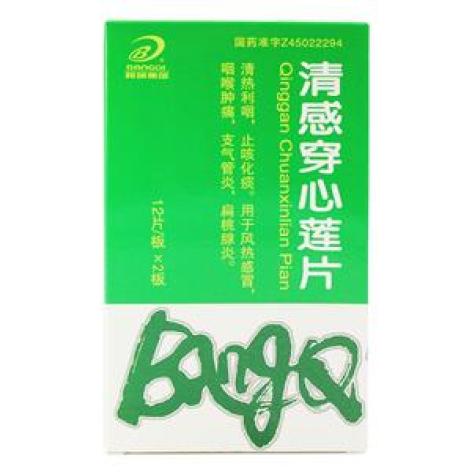 清感穿心莲片(邦琪集团)包装主图 清感穿心莲片(邦琪集团)包装主图