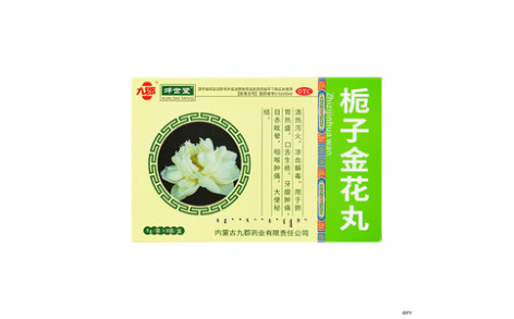 栀子金花丸(九郡)主图
