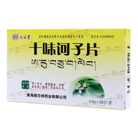 十味诃子片(同済堂)包装主图 十味诃子片(同済堂)包装主图