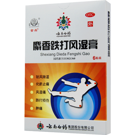 麝香跌打风湿膏(金品)包装主图
