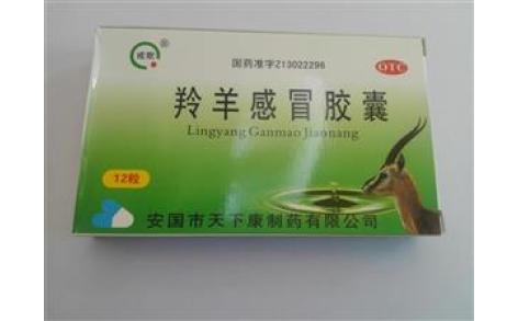 羚羊感冒胶囊(戒欺)主图 羚羊感冒胶囊(戒欺)主图