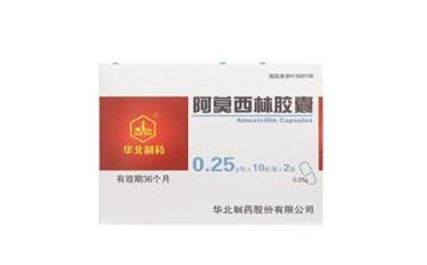 阿莫西林胶囊(华北制药)主图