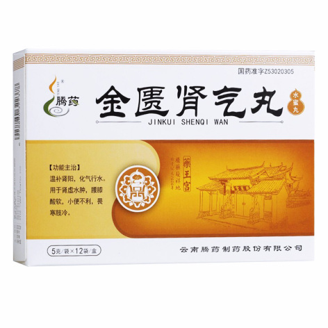 金匮肾气丸(腾药)包装主图 金匮肾气丸(腾药)包装主图