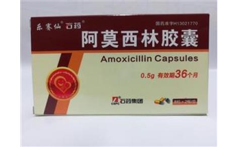 阿莫西林胶囊(乐赛仙)主图 阿莫西林胶囊(乐赛仙)主图