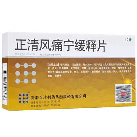 正清风痛宁缓释片(正清)包装主图