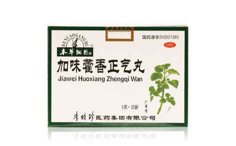 加味藿香正气丸(李时珍)主图
