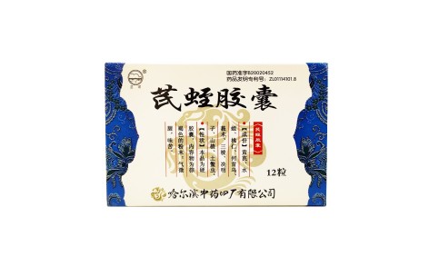芪蛭胶囊(兰河)主图 芪蛭胶囊(兰河)主图