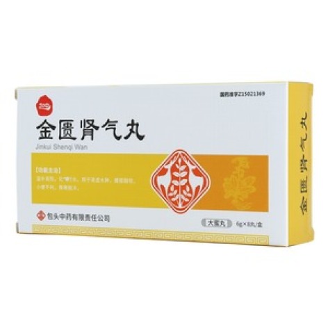 金匮肾气丸(包中)包装主图 金匮肾气丸(包中)包装主图