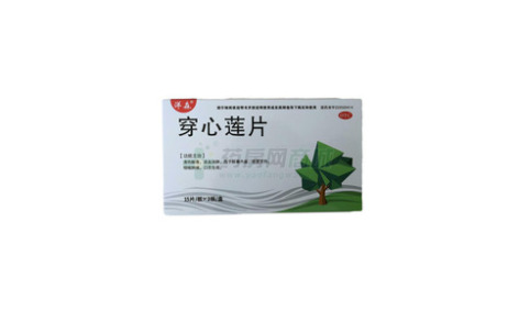 穿心莲片()主图