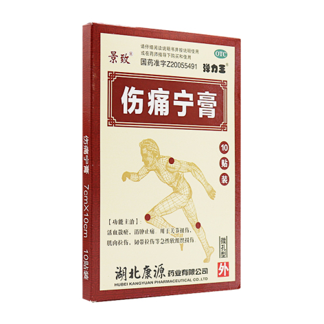 伤痛宁膏(康源)包装侧面图2