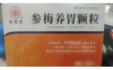 参梅养胃颗粒(宝药堂)主图