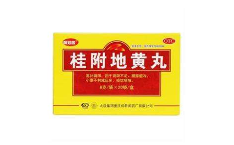 桂附地黄丸(桐君阁)主图
