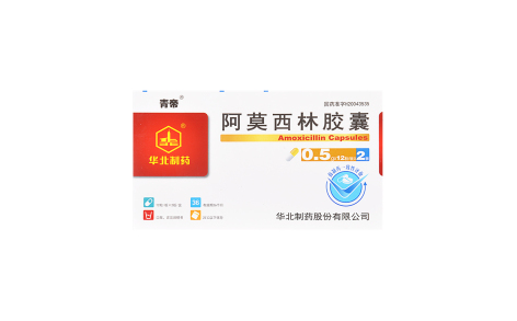 阿莫西林胶囊(青帝)主图 阿莫西林胶囊(青帝)主图