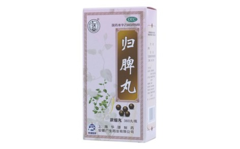 归脾丸(仁济堂)主图