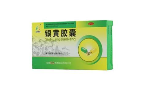 银黄胶囊(滇珍本草)主图