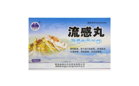 流感丸(格拉丹东)主图 流感丸(格拉丹东)主图