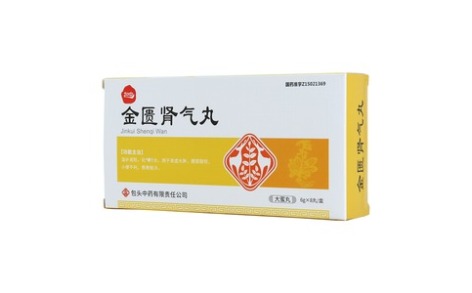 金匮肾气丸(包中)主图 金匮肾气丸(包中)主图
