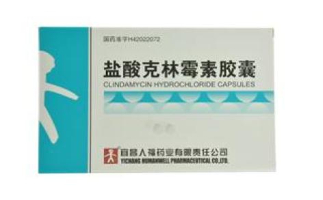盐酸克林霉素胶囊(人福)主图 盐酸克林霉素胶囊(人福)主图