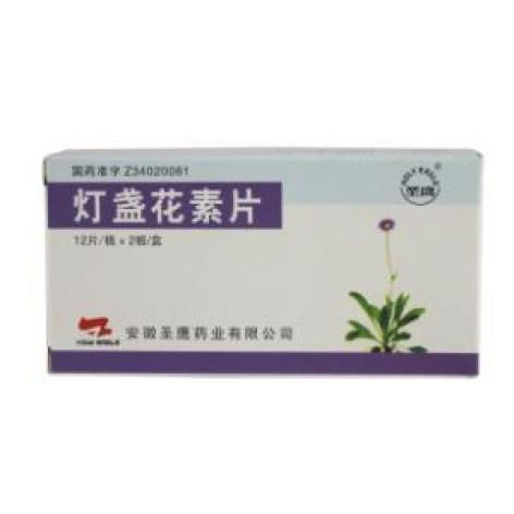 灯盏花素片(圣鹰)包装主图 灯盏花素片(圣鹰)包装主图